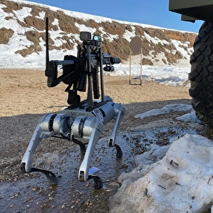 رونمایی چین از سگ رباتیک نظامی